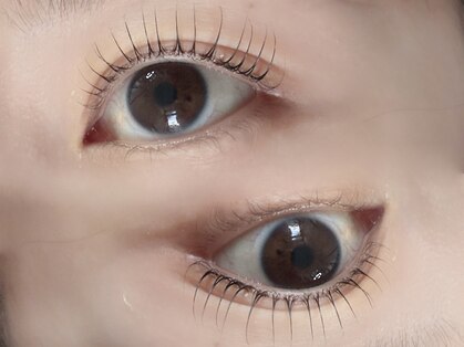 ロウ 裾野(Law)の写真