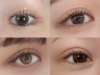 モナ(mona)の写真