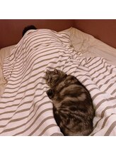 マノン(Manon)/施術風景◆おまけ