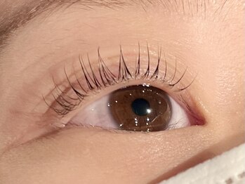 レミア 関内(REMIA)/5月 パリジェンヌラッシュリフト