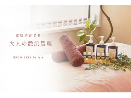 アイリス(iris)の写真