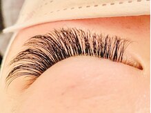 パールプリンセス(Pearl Princess)/カウンセリング重視◎