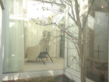 アリッチ 岡崎店(a.Rich)/店内には中庭がございます♪