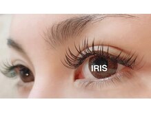 アイリス 八街店(IRIS)/オードリーフラットラッシュ