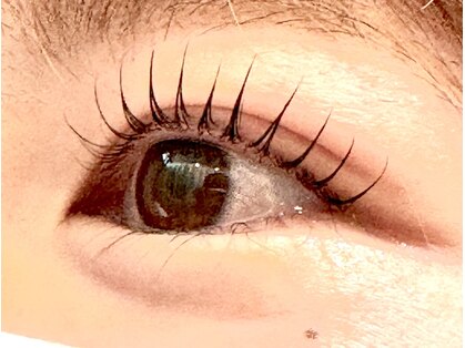 グルーク(GLUCK)の写真