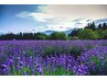 【頭首肩フット】県内産アロマでヘッド＆首肩30＋フットリフレ30 60分7800円