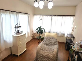 ネモフィリア(Nemophilia)