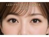 再来｜6月限定【梅雨の湿気に勝つ】超持続LEDフラットボリューム120束9300円