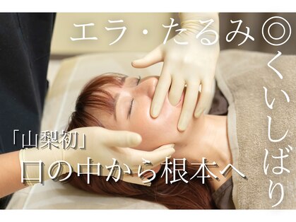 ダリア 甲府昭和(Dahlia)の写真