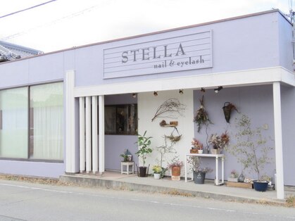 ステラ(STELLA)の写真