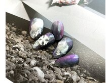 ミッシュネイル(mish nail)/ジェルネイルアート