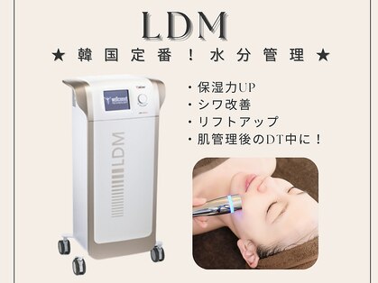 スア(SUA)の写真