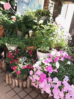 ヨサパーク 雲母(YOSA PARK)/お店の道案内3