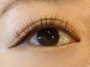 レミア 関内(REMIA)/２月　カラーフラットラッシュ