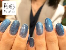 パスリー ネイルアンドケア(Parsley Nail&Care)/ブルーマグネットネイル
