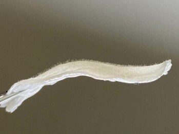 ソワ(Sowa)の写真/≪マリムーブ☆艶肌フェイシャルWAX4000円☆≫歴20年のエステティシャンによる施術で、毛穴レスな美肌へ♪