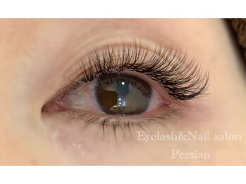 ペルシャ(Persian)/ボリュームラッシュ若葉/鶴ヶ島