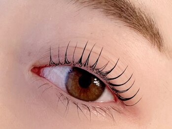 オンニ(onni)の写真/韓国新トレンド【まつげティント】ブラックティントパーマ◎束感コーティング付◎韓国アイドルまつ毛