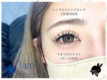 バニーラッシュ(Bunny Lash)/【シングルバインドロック】