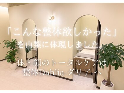 ダリア 甲府昭和(Dahlia)の写真