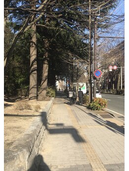 コンフィアンス(CONFIANC)/公園1から左にまっすぐ進みます