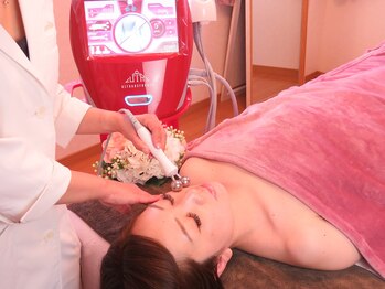 ルピナス(Lupinus)/【ウルトランスフォーマー】顔