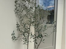 ハク ハナレ(HAKU)の雰囲気（入口は右側の入り口からお入りください）