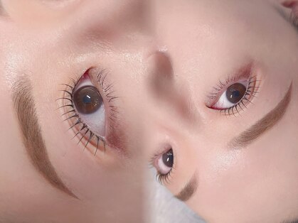 エミュ(emu)の写真