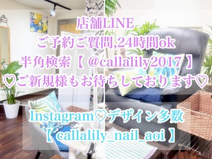 カラーリリー(Calla lily)の写真