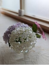 手もみ屋本舗 大安寺店/スタッフの庭に自生