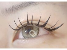 アバンテ シル(Avante_CIL)/Wフラット120SET