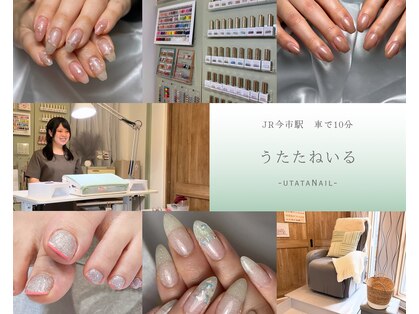 うたたねいるの写真