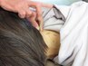 【整体・取れなかった首肩こり腰痛辛さに◎】全身鍼5000円→4000円