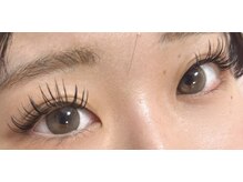 ダリア(Dahlia)/フラット１２０本★