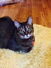 ビースマイル(Be-Smile)/癒しの16歳の桜子