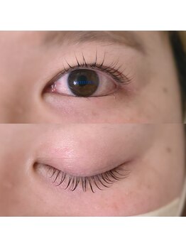 カミーノ(CAMINO)/