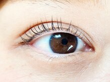 ヴァンカウンシル 川口店(VAN COUNCIL)/ラッシュリフト