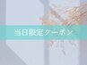 〈当日予約限定〉超軽量フラットラッシュ120本  4500