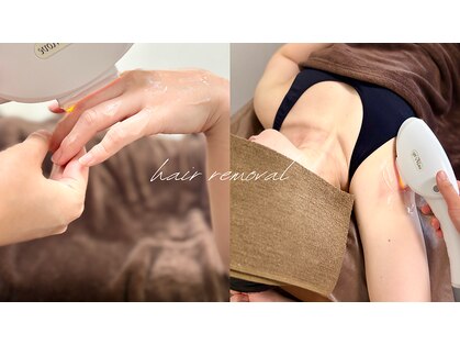 レブル(Lebull)の写真
