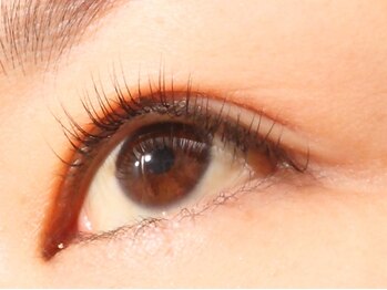 イロドリ/デザイン例