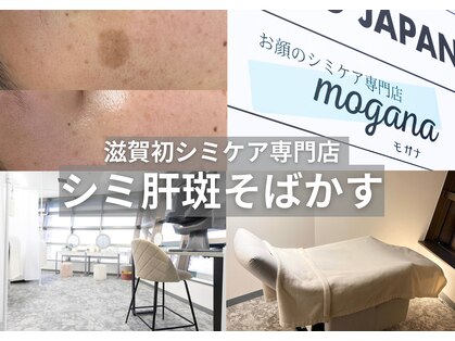 モガナ(mogana)の写真