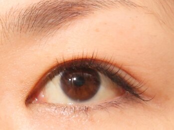 イロドリ/デザイン例