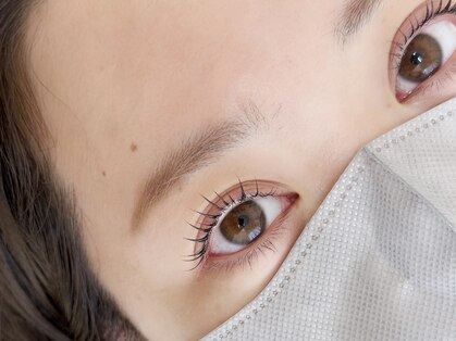 ボニータ(Bonita)の写真