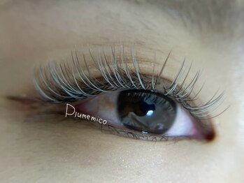 プルームミコ(Plume mico)/フラットラッシュ160本