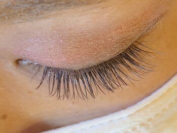 レミア 関内(REMIA)/11月 ブラウンカラー