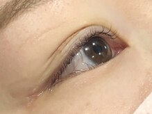 ピクシーボブ(Pixie Bob)/★毛先だけカール