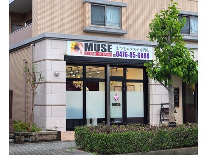 ミューズ 成田店(MUSE)の写真