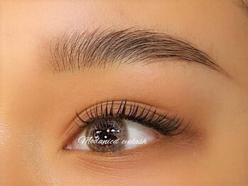 モダニカアイラッシュ(Modanica eyelash)の写真/【ハリウッドブロウリフトが大人気★】お顔の印象を決める”眉”を整え自分の魅力を最大限に引き出そう！