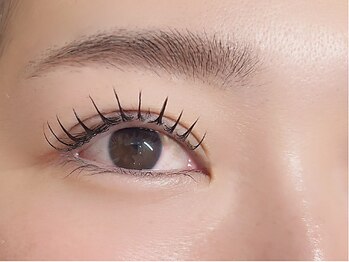 ブリス(bliss)/フラットラッシュ200本