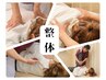 【デスクワークでお疲れの方必見】肩こり腰痛／整体コース￥7000→￥4485
